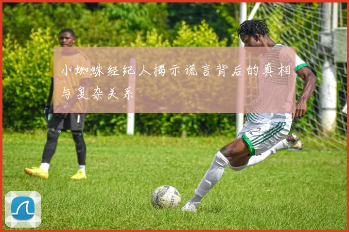 小蜘蛛经纪人揭示谎言背后的真相与复杂关系