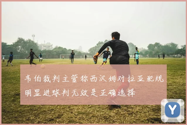 韦伯裁判主管称西汉姆对拉亚犯规明显进球判无效是正确选择