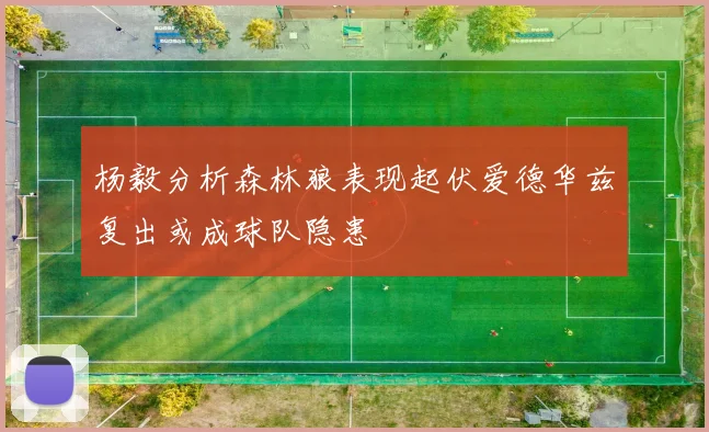 杨毅分析森林狼表现起伏爱德华兹复出或成球队隐患