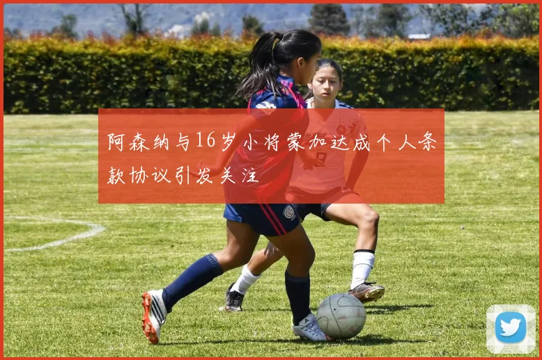 阿森纳与16岁小将蒙加达成个人条款协议引发关注